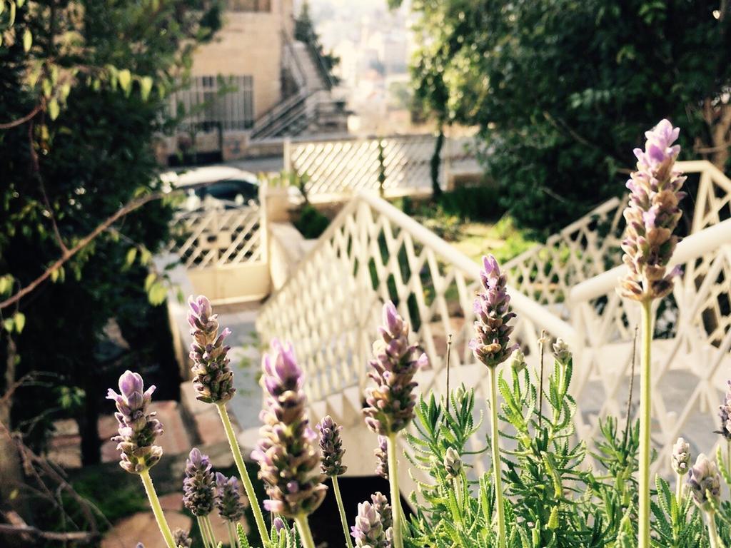 Lavender Boutique Hotel Ramallah Exterior photo